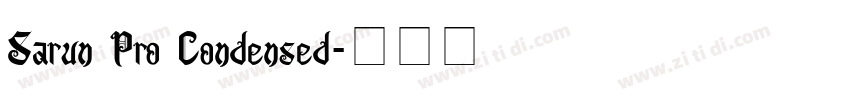 Sarun Pro Condensed字体转换